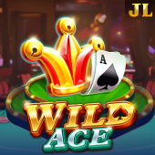 Wild Ace on x777 game